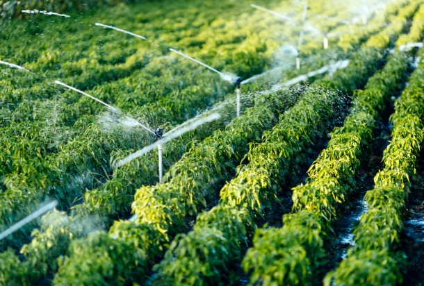 Large Scale Water Treatment Facility